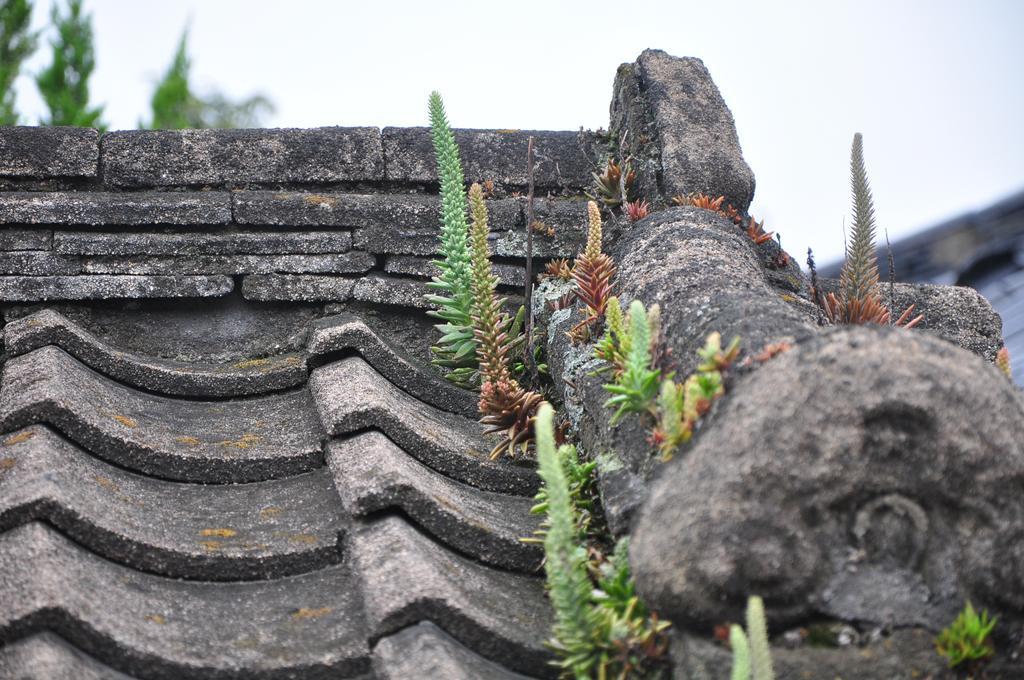 Soi Hanok Stay Gyeongju Ngoại thất bức ảnh